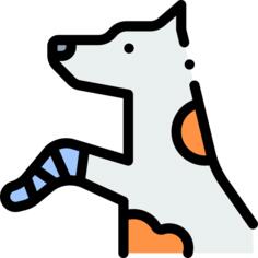 断腿