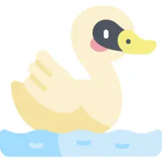 Swan