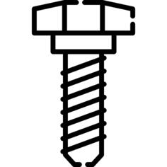 坚果