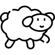 Sheep