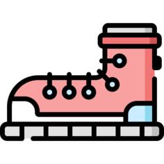 Shoe
