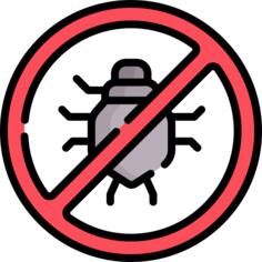 Lice
