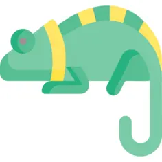 Chameleon