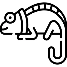 Chameleon