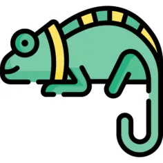 Chameleon