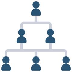 Organization structure