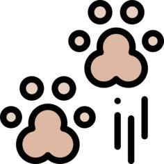 Bear paw