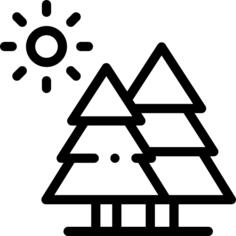 森林