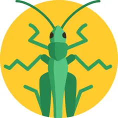 Grasshopper