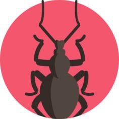 象鼻虫