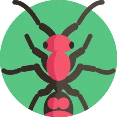 Velvet ant