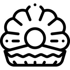 贝壳