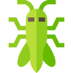 Locust