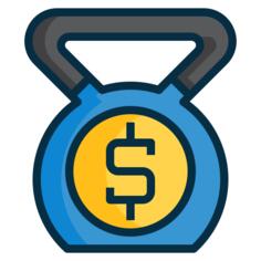 Debt