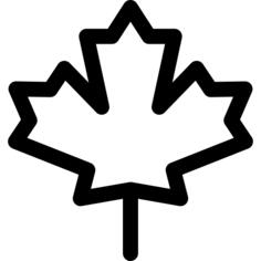 Maple