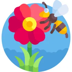 蜜蜂