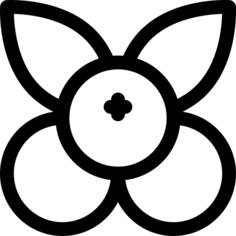 蔓越莓