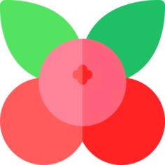 蔓越莓