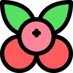 蔓越莓