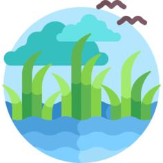 沼泽