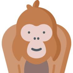 Orangutan