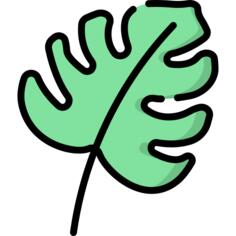 Monstera leaf