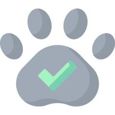 Pet