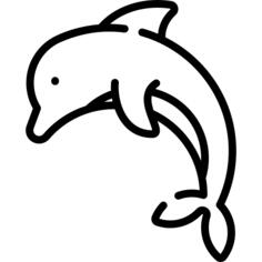 海豚
