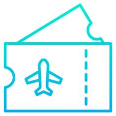 Plane ticket