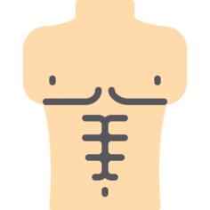 Human body