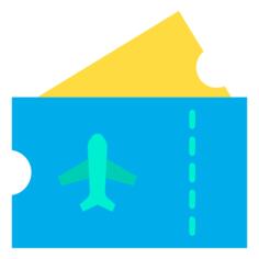 Plane ticket