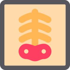 X射线