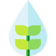 Water drop