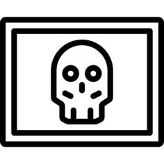 X ray