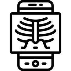 X ray