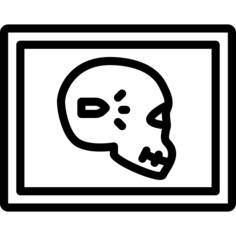 X ray