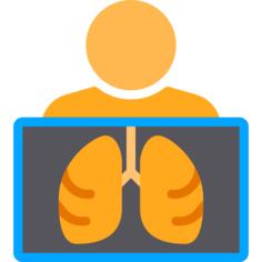 X ray