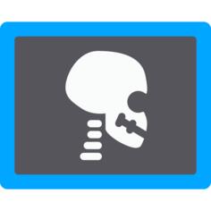 X ray
