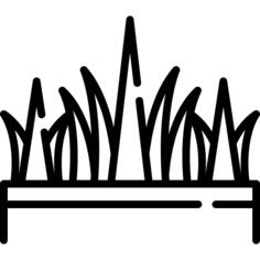 Grass