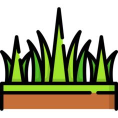 Grass