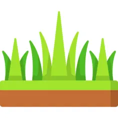 Grass