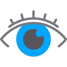 眼睛