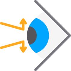Blind