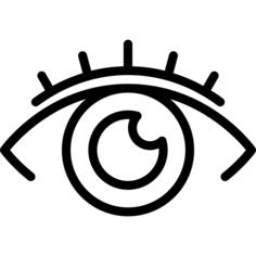 眼睛