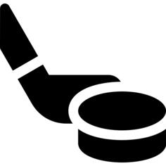 Hockey puck