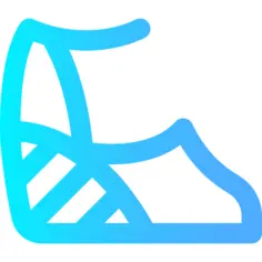 Shoe