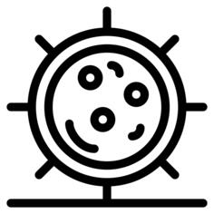 Bacteria