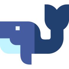 鲸