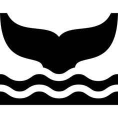 鲸