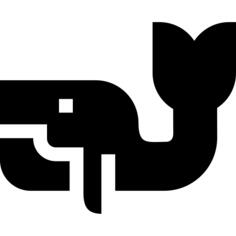 鲸